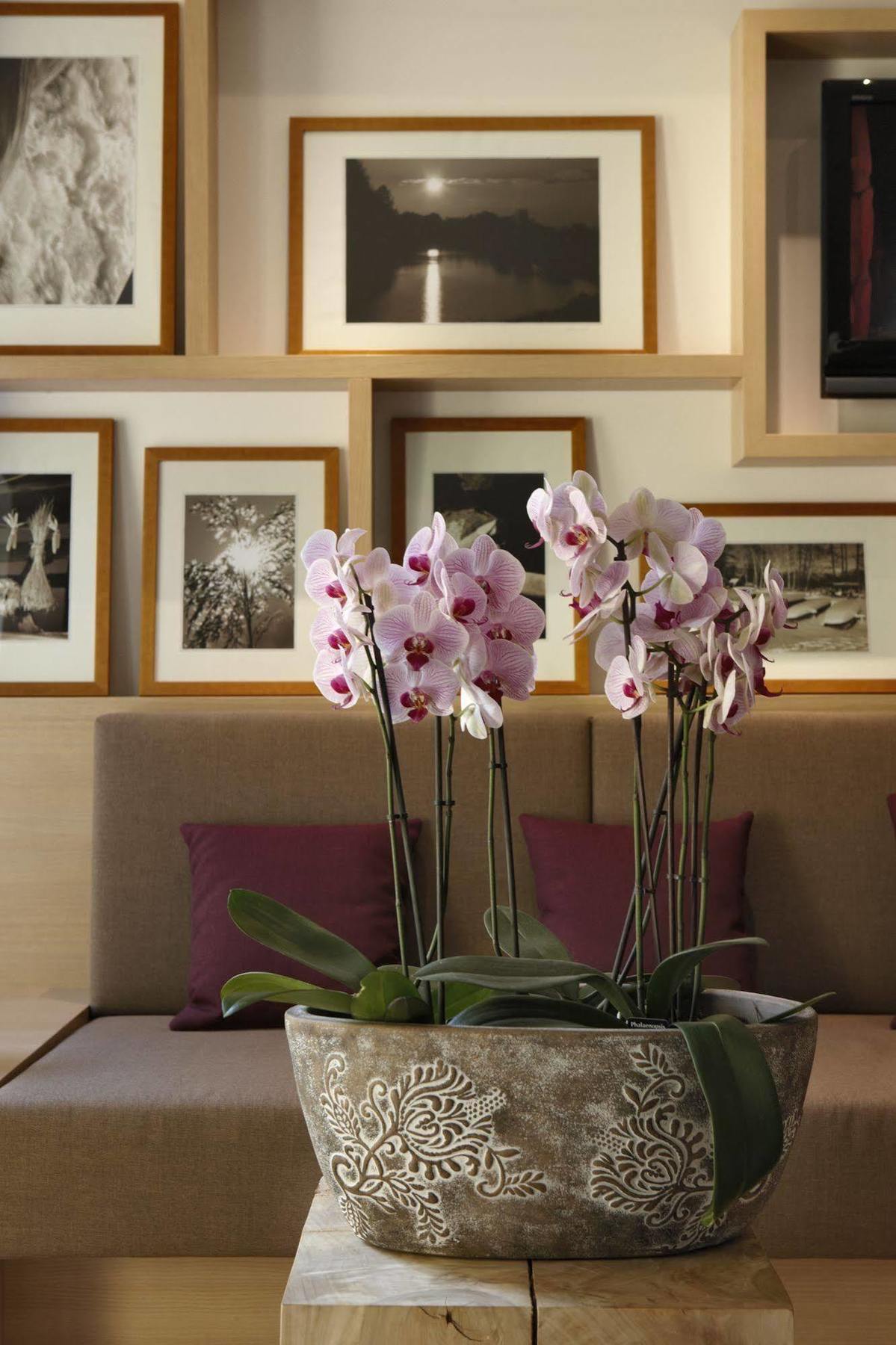 Logis Hotel Kur- Und Wellnesshaus Spree Balance Burg  Esterno foto